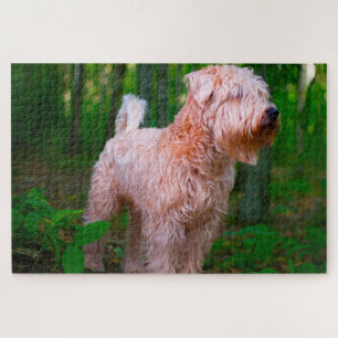 Wheaten Terrier Hond Puzzels. Legpuzzel