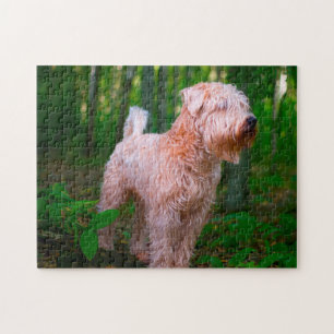 Wheaten Terrier Hond Puzzels. Legpuzzel