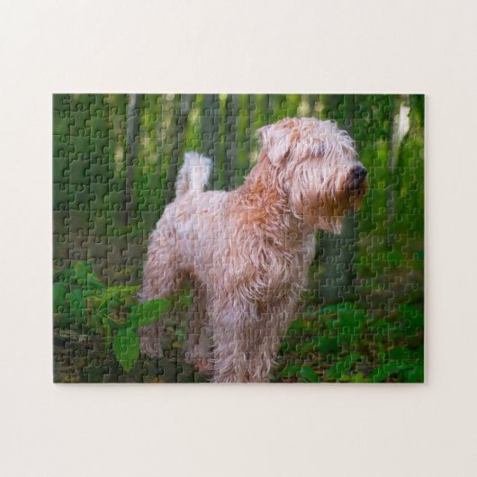Wheaten Terrier Hond Puzzels. Legpuzzel (Horizontaal)