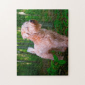 Wheaten Terrier Hond Puzzels. Legpuzzel (Verticaal)