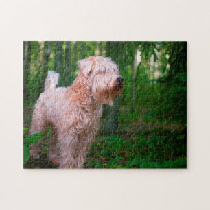 Wheaten Terrier Hond Puzzels. Legpuzzel