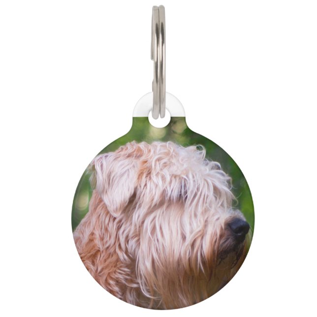 Wheaten Terrier Huisdierpenning (Voorkant)