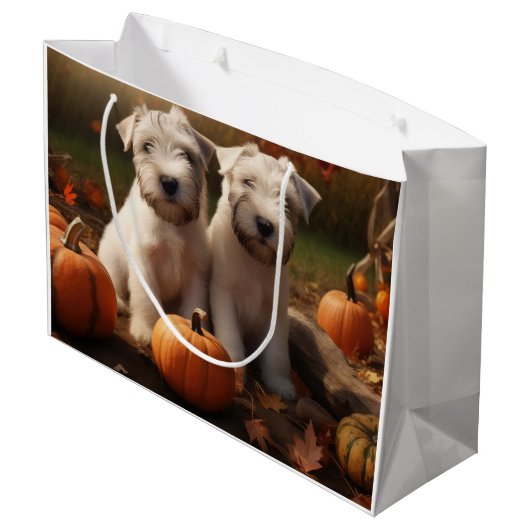 Wheaten Terrier Puppy Herfst Verrukking Pompoen Groot Cadeauzakje