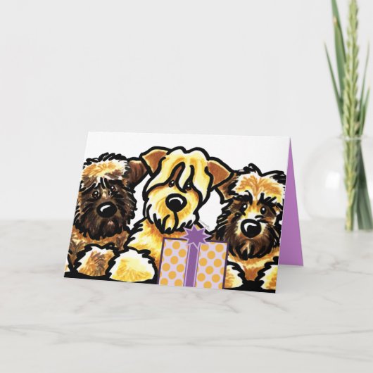 Wheaten Verjaardag van het Trio van Terrier Kaart (Voorkant)