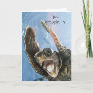 wheeeeeeeee schildpad, enkel droppin in… kaart