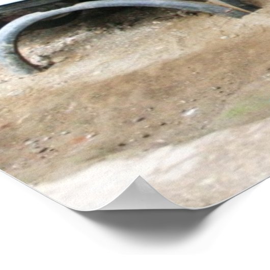 Wheelschair Poster (Hoek)