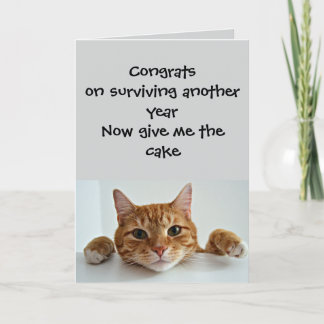When the Cat Cares.. Just a Little –Funny Birthday Kaart