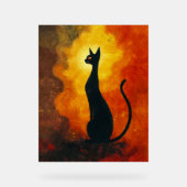 Where curiosity meets the cosmos. (Recto)