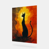 Where curiosity meets the cosmos. (Angle)