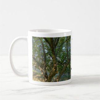 Where Is Lexi 01 Koffiemok