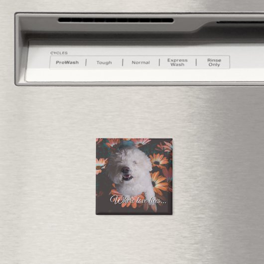 Where Love Lives Magnet (In Situ (Lave-vaisselle))
