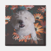 Where Love Lives Magnet (Devant)