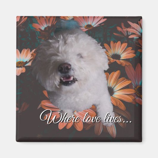 Where Love Lives Magnet (Devant)