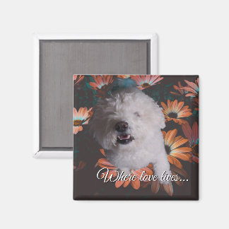 Where Love Lives Magnet Magneet