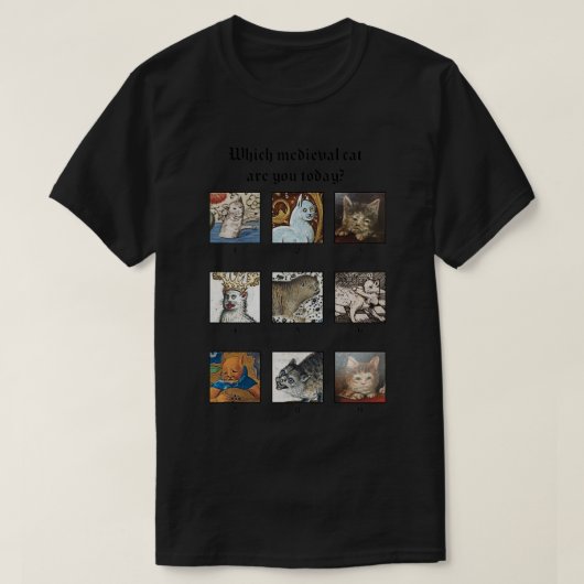Which medieval cat are you today t-shirt (Design voorkant)