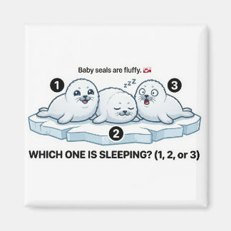 Which One Is Sleeping? – Baby Seal Learning Magnet Magneet