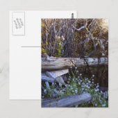 Whidbey Island 1 Briefkaart (Voorkant / Achterkant)