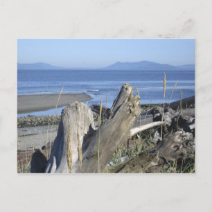 Whidbey Island 4 Briefkaart