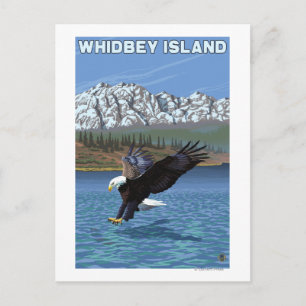 Whidbey Island, WashingtonEagle Vist Briefkaart