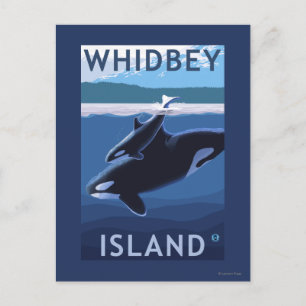 Whidbey Island, WashingtonOrca en Calf Briefkaart