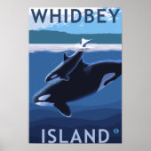 Whidbey Island, WashingtonOrca en Calf Poster (Voorkant)