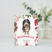 Whimsical Bernedoodle chien carte de vacances de N (Debout devant)