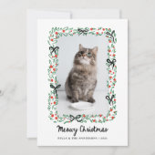 Whimsical Bows | Cute Meowy Christmas from the Cat Feestdagenkaart (Voorkant)