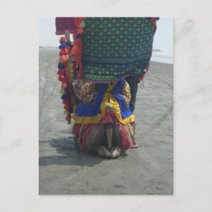 Whimsical Camel Art Print/Grafisch Briefkaart