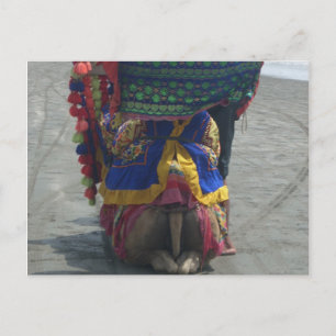 Whimsical Camel Art Print/Grafisch Briefkaart