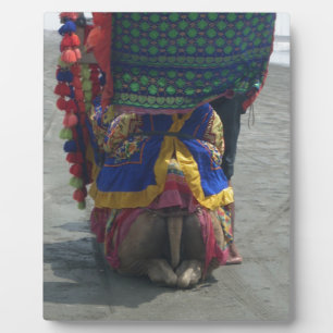 Whimsical Camel Art Print/Grafisch Fotoplaat