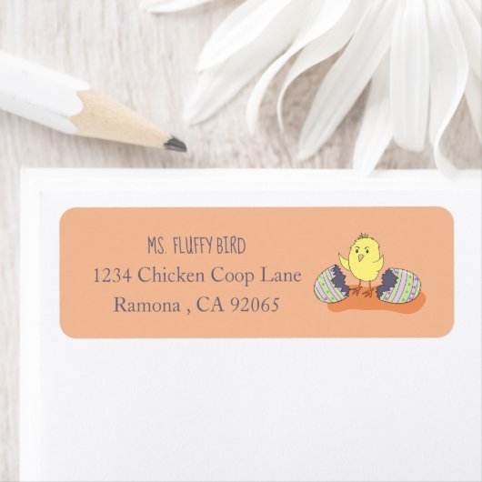 Whimsical Chick Out of Shell Retouradres Labels (Insitu)