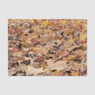 Whimsical Colorful Autumn Falling Leaf Tissuepapier