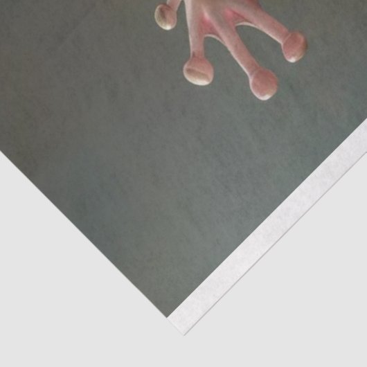 Whimsical Dancing Frog Decoupage Tissuepapier (Detail)