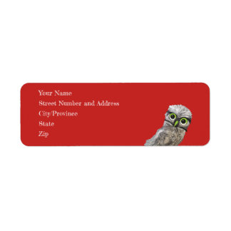 Whimsical en Schattig Blue Burrowing Owl Art Etiket