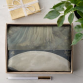 Whimsical Fairy Tissuepapier (Geschenk)