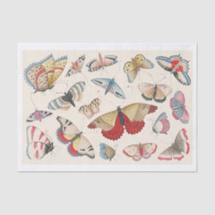 Whimsical Hand-Drawn Set van Vlinders Tissuepapier