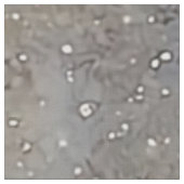 Whimsical Lion & Crescent Moon etherisch profiel Stof (Close Up)