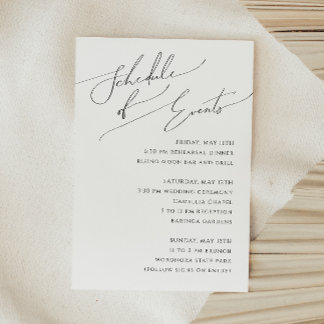 Whimsical Minimalist Script Schedule of Events Informatiekaartje