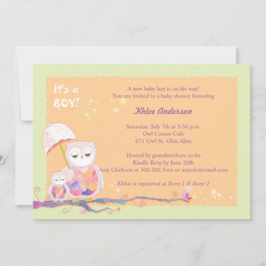 Whimsical Owls Baby Boy Shower Kaart (Voorkant)