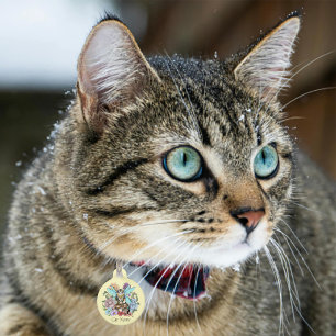 Whimsical Pastel Tabby Feeënkat Bloemrijke Fantasi Huisdierpenning