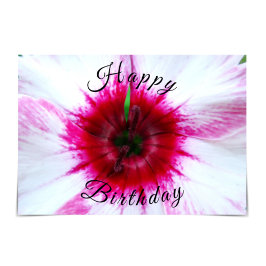 Whimsical Pink and White Dianthus Flower Kaart