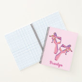 Whimsical Pink Ballet Slippers Design Notitieboek (Binnen)