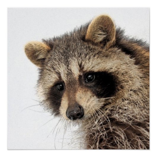 Whimsical Raccoon Glossy Poster (Devant)
