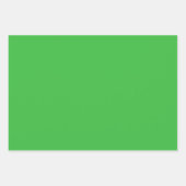 Whimsical Red Flowers Green Leaves On White Art Inpakpapier Vel (Voorkant 3)