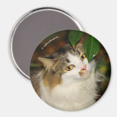 Whimsical The Cat en de Camellia Magneet (Voorkant / Achterkant)