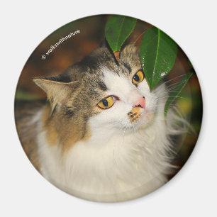 Whimsical The Cat en de Camellia Magneet