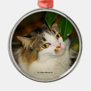 Whimsical The Cat en de Camellia Metalen Ornament