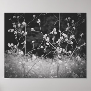Whimsical Wildflower Zwart-wit Poster