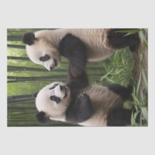 Whimsical Wonders: Baby-panda's spelen in het bos Tissuepapier