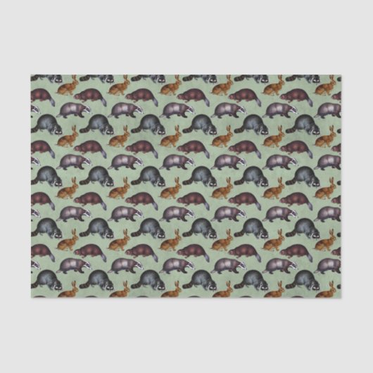 Whimsical Woodland Animal Tissuepapier (Voorkant)